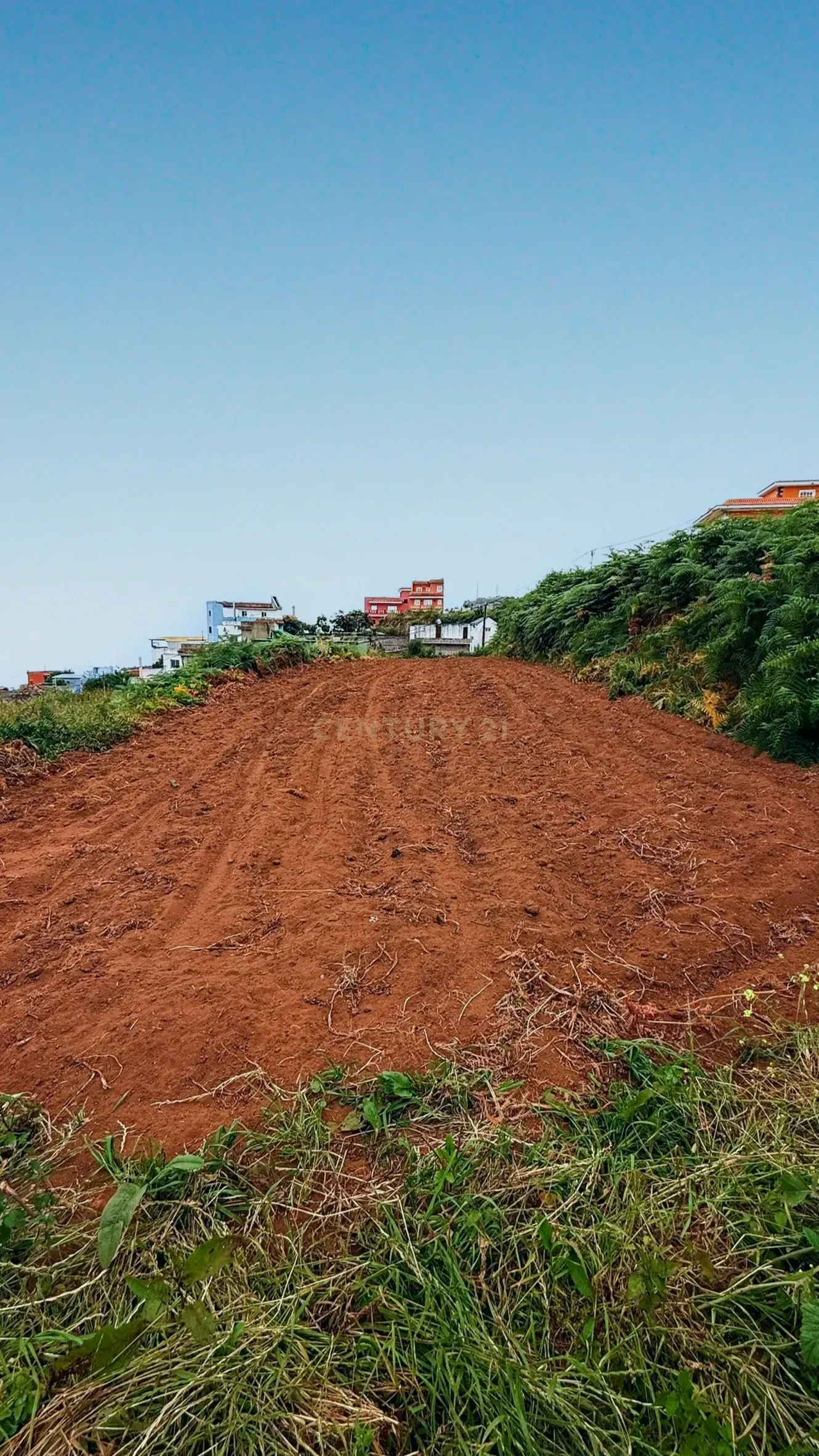 Land for sale in Los Realejos