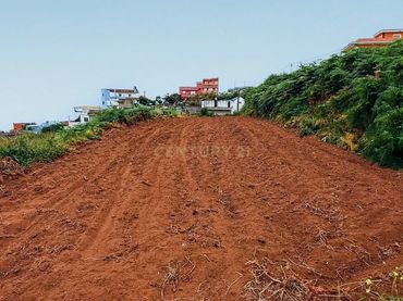 Terreno rústico en venta en Los Realejos
