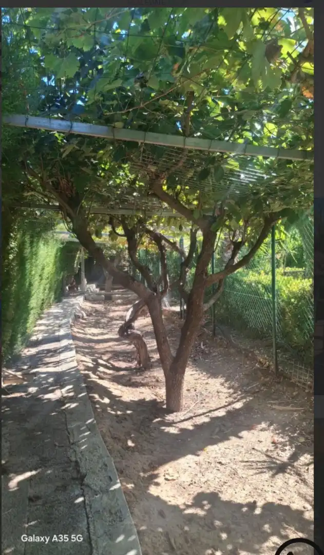 Casa rústica amb piscina en venda a Camino del Tollo, imagen 12