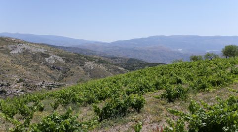 Foto 4 de Terreno en venta en N/a, -1, Murtas, Granada