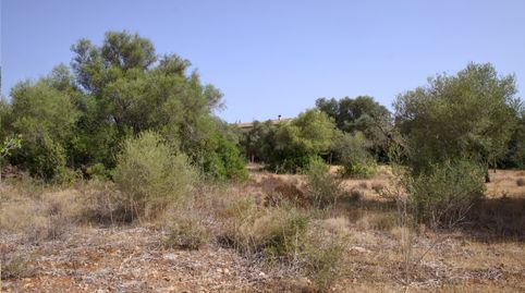 Imagen 3 del anuncio