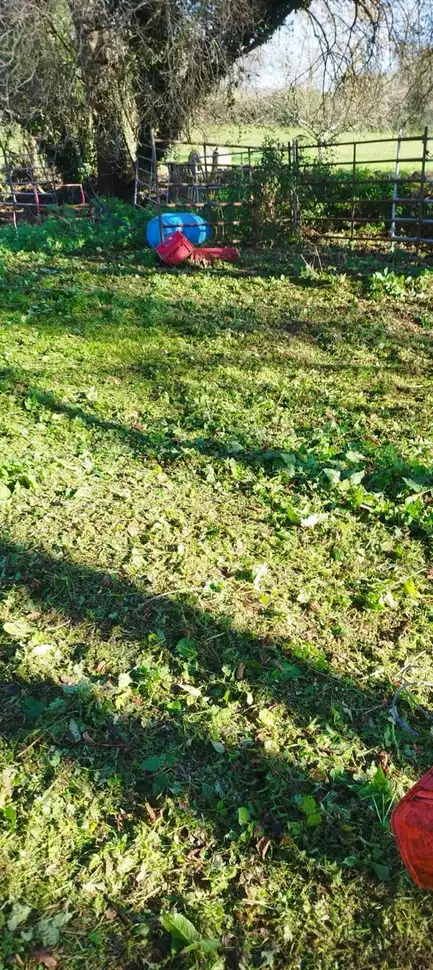Lands and plots for sale in Aldea la Cangueta, imagen 20