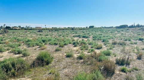 Foto 5 de Residencial en venta en Perleta - Maitino, Elche / Elx