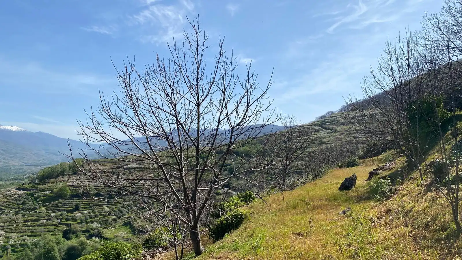 Terreni e lotti in vendita a Casas del Castañar, imagen 14
