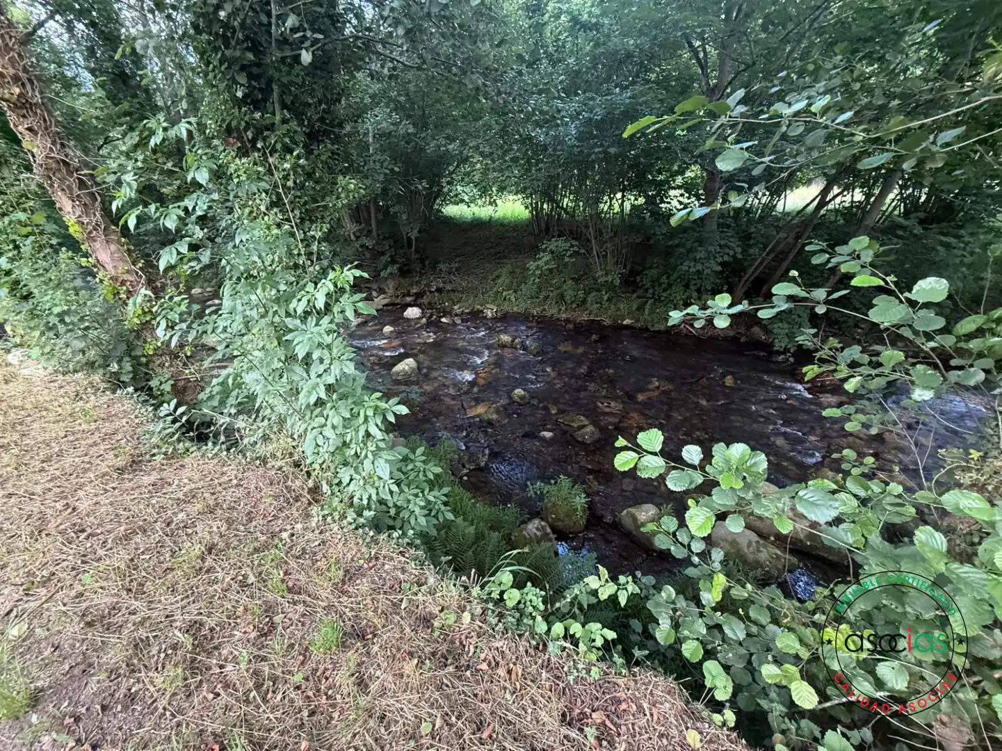 Land for sale in Quirós