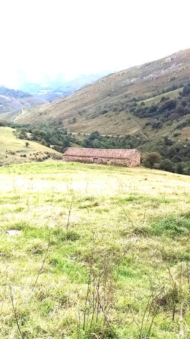 Casa con jardín en venta en San Sebastián de Garabandal - MATAZORRA, imagen 23