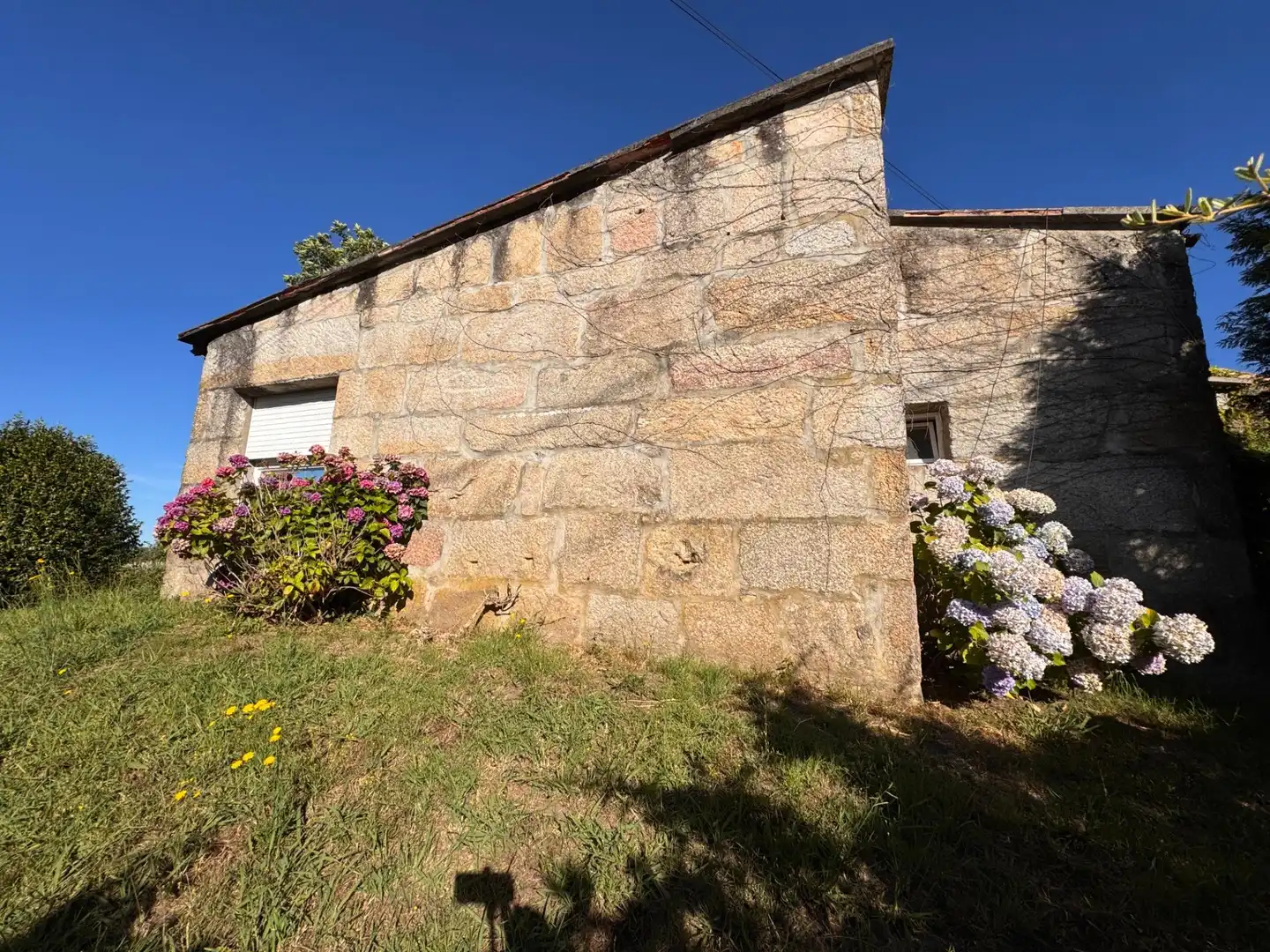 Vista exterior de Casa o chalet en venta en Pontevedra Capital  con Calefacción, Jardín privado y Terraza