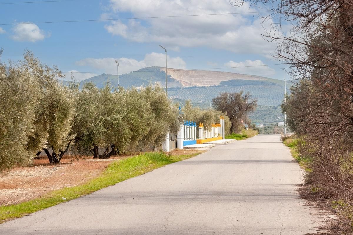 Exterior view of Industrial buildings for sale in Cabra