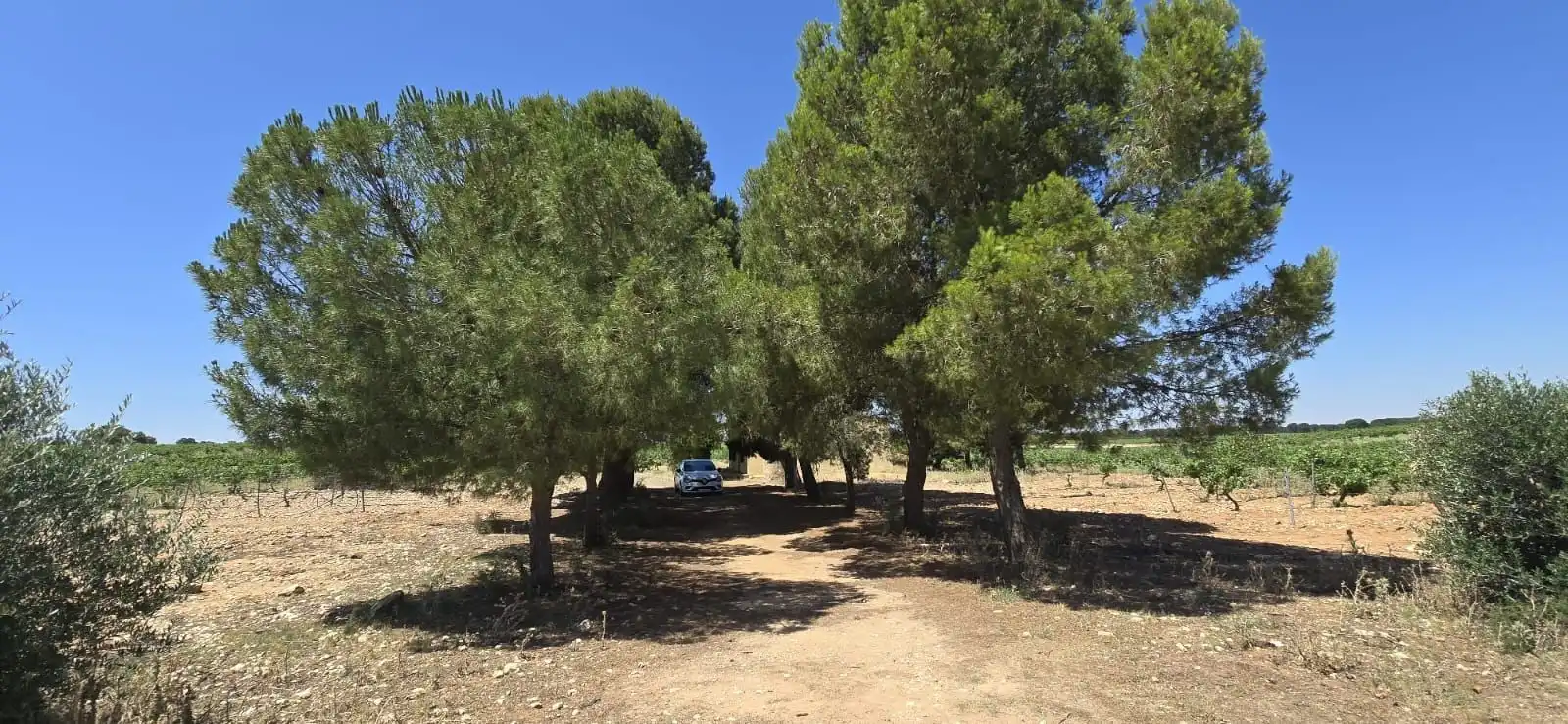 Casa rústica en venda a Villarrobledo, imagen 41