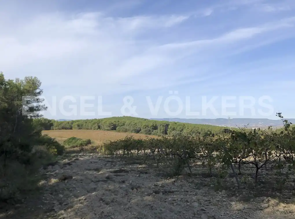 Terreny residencial en venda a Avinyonet del Penedès, imagen 23