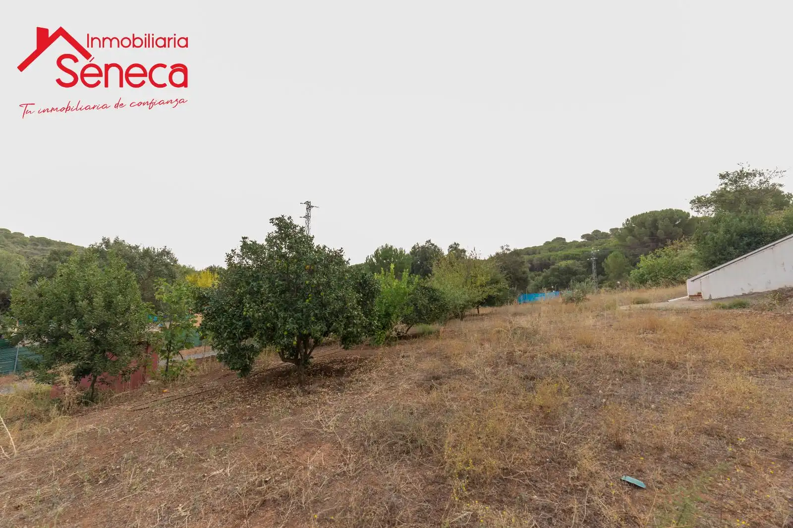 Casa o xalet en venda a Las Jaras