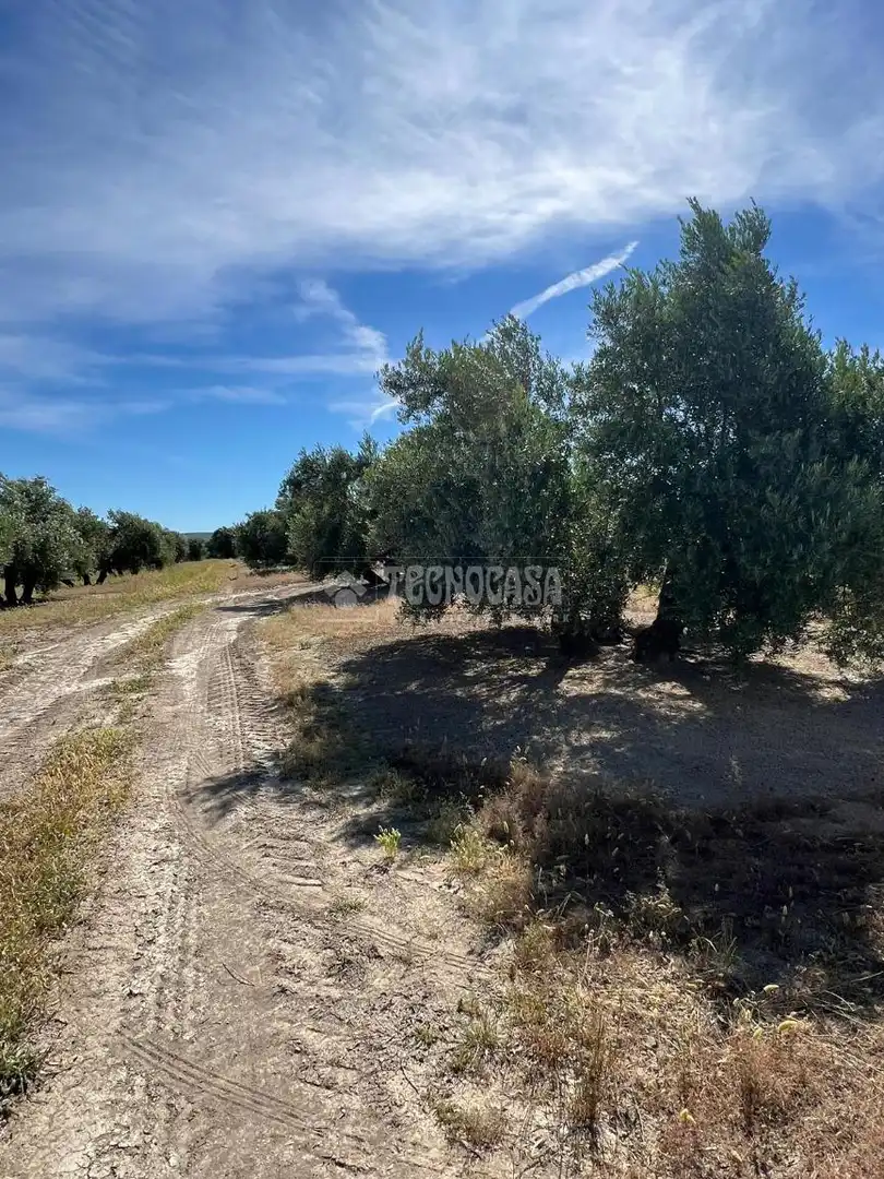 Grundstücke zum Verkauf in Lupión