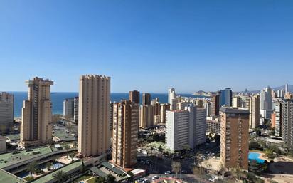 Vista exterior de Apartament en venda en Benidorm amb Aire condicionat i Terrassa