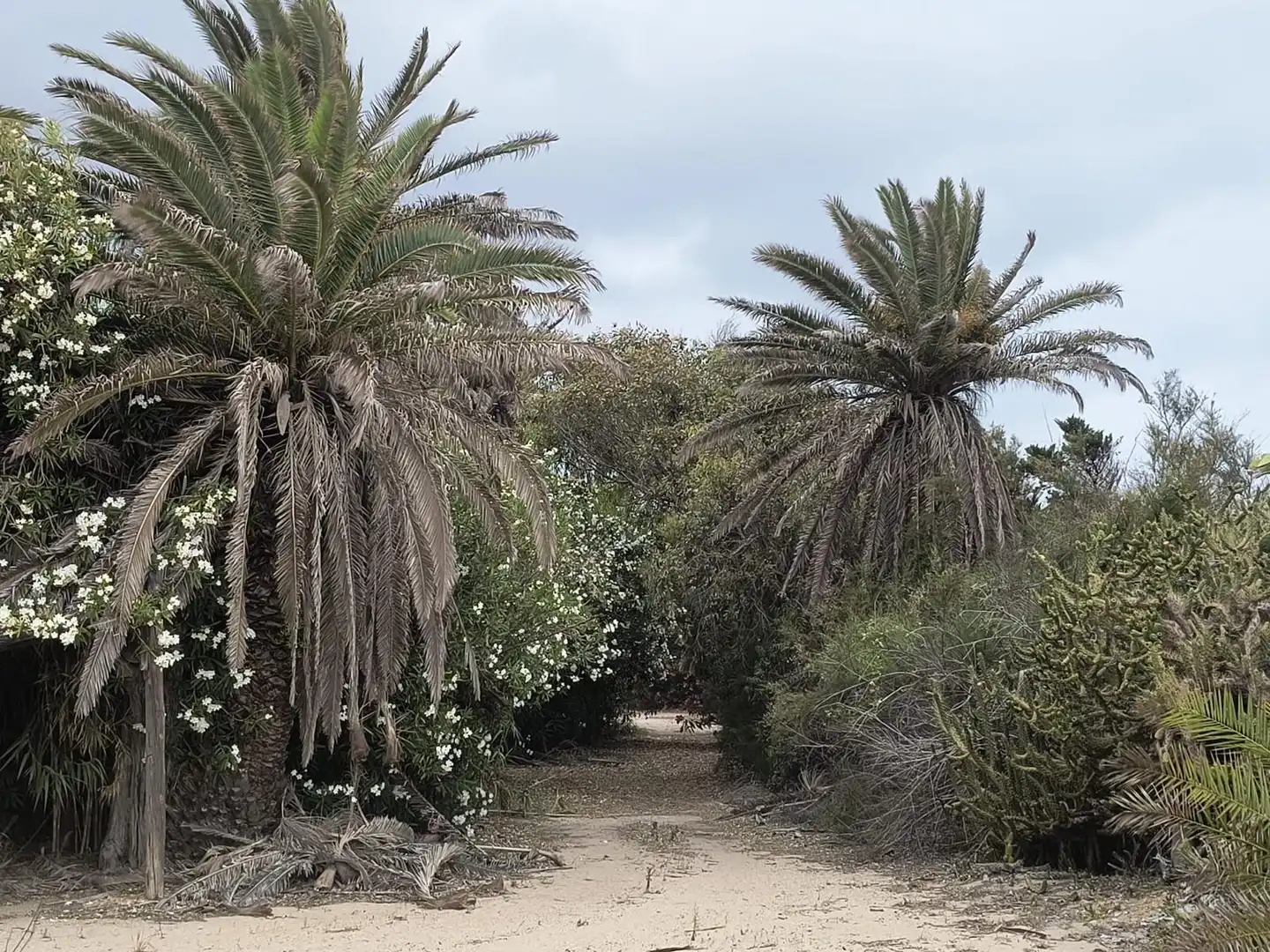 Finca rústica en venta en Cullera con Calefacción, Jardín privado y Terraza