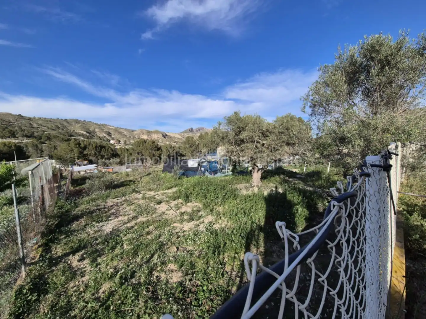 Casa o xalet en venda en Càrcer amb Terrassa