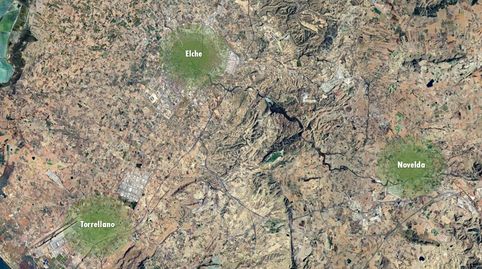 Photo 5 of Land for sale in Ptda Ar-90, El Toscar, Elche / Elx