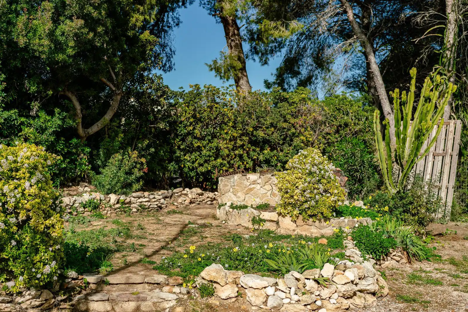 Haus mit Garten zum Verkauf in Paichi, imagen 20