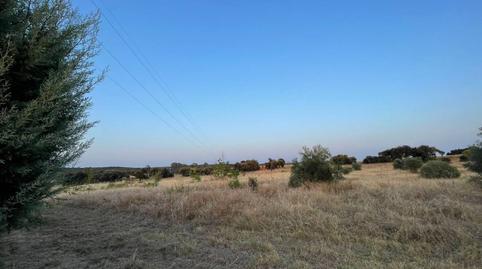 Photo 4 of Residential to rent in Dehesilla de Calamón - Campomanes, Badajoz