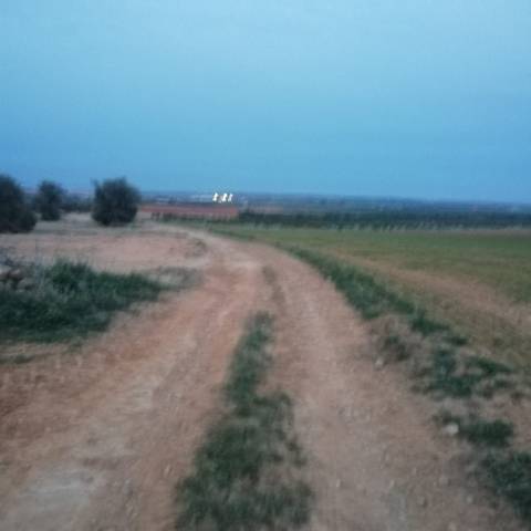 Terreno en Venta en Antequeruela y Covachuelas