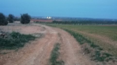 FINCA RUSTICA DE 50HECTAREAS DE LABOR, immagine 5