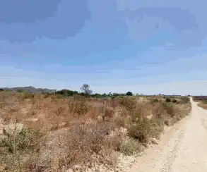 Terreno rustico in vendita a El Secanet - Hacienda del Sol, imagen 5