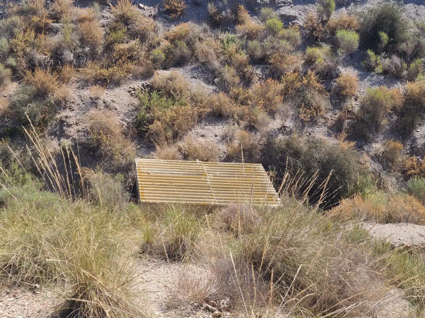 Terrains et parcelles à vendre à Pedanías Centro, imagen 40