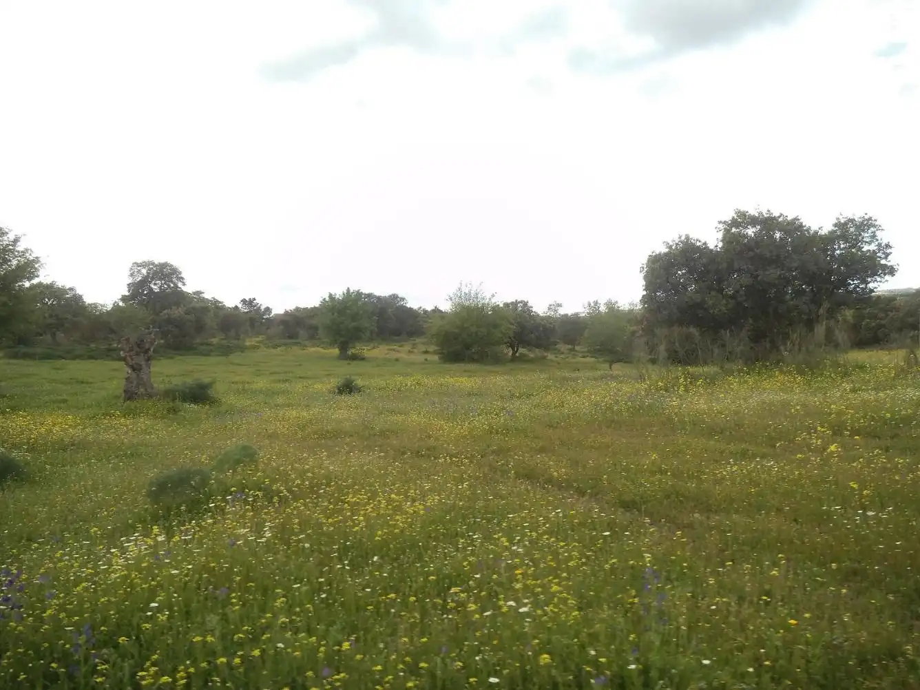 Residencial en venda en Valdemorillo