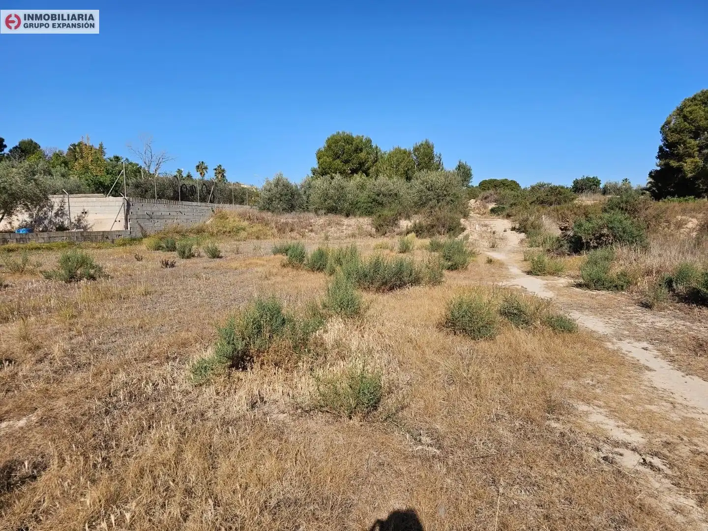 Houses for sale in Aspe