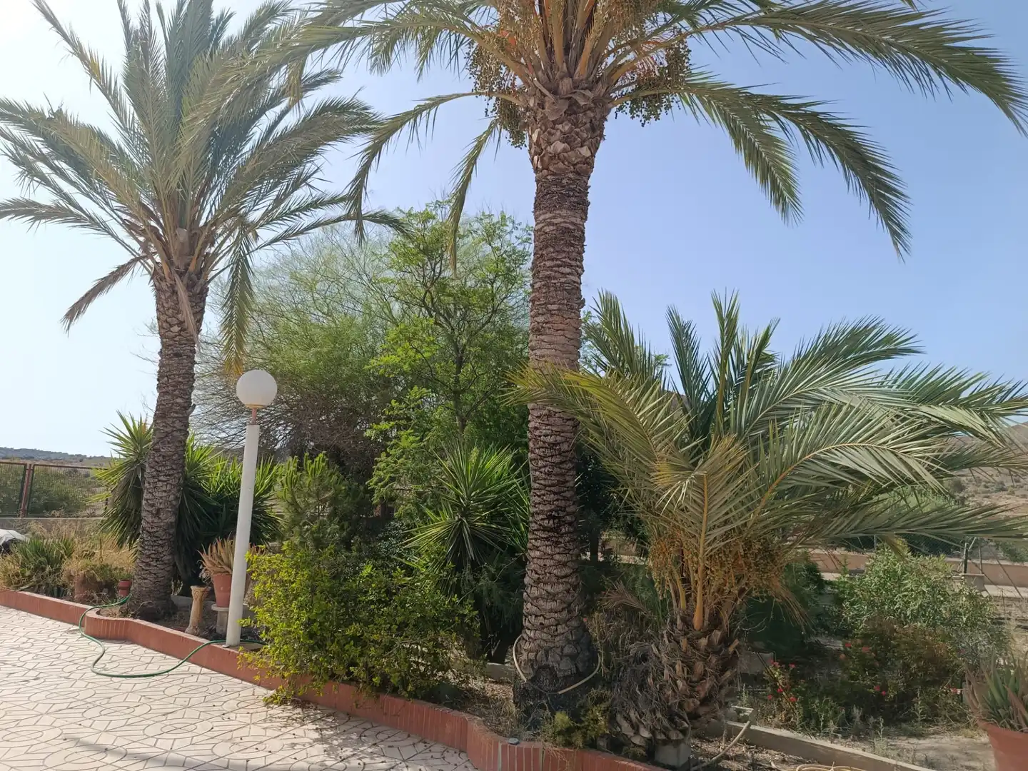 Villa mit Terrasse zum Verkauf in Calle Sierra Salinas, imagen 44