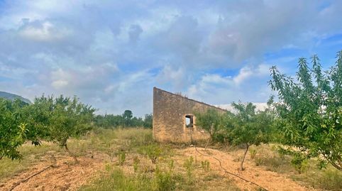 Finca Rúst. en venta en Freginals., imagen 4