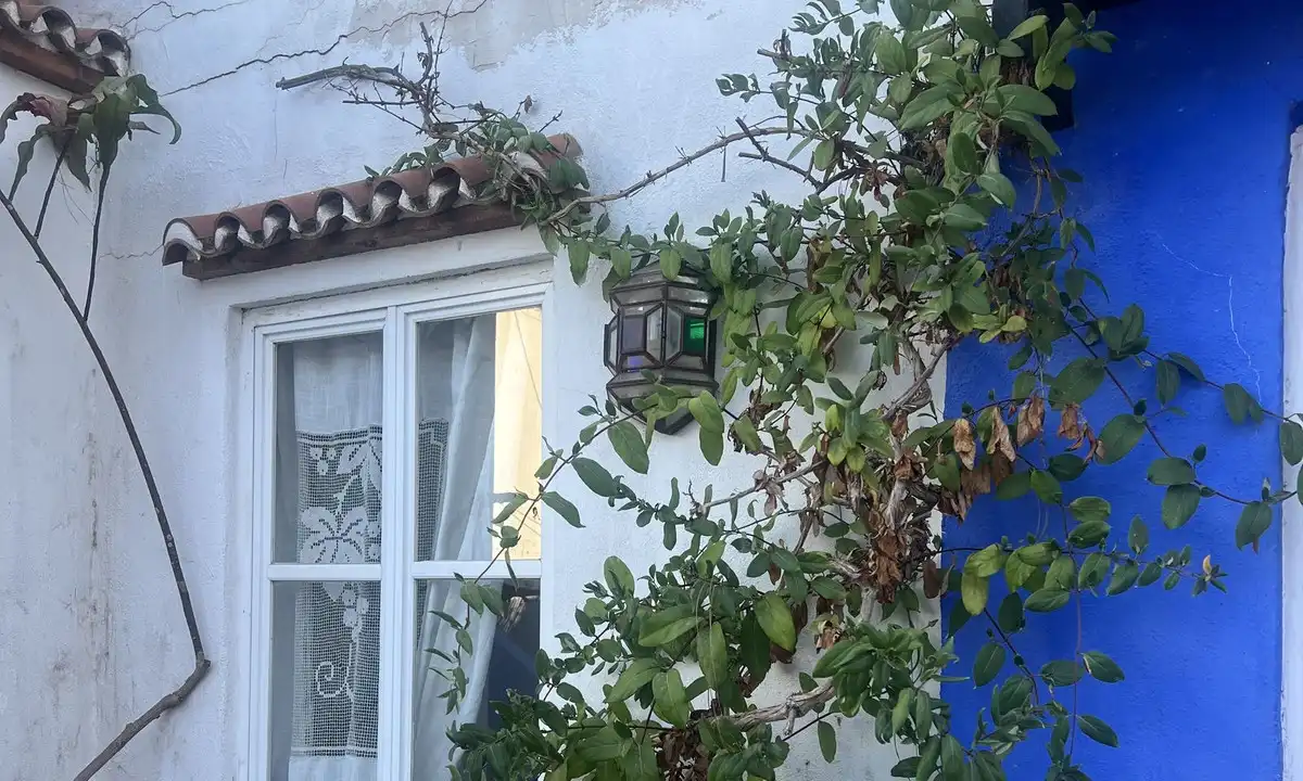 Vista exterior de Casa adosada en venda en Marbella amb Terrassa