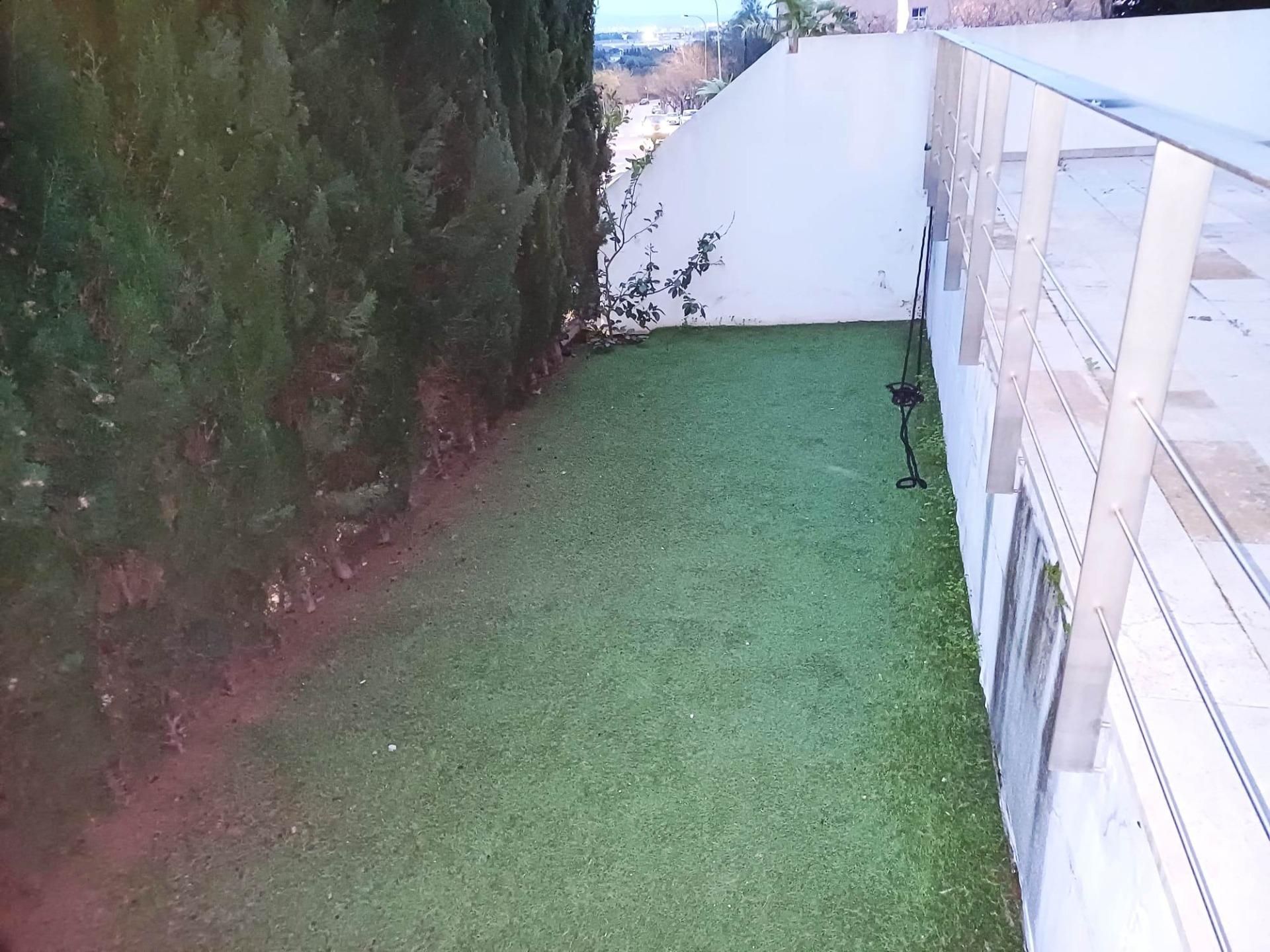 Planta baja to rent in Son Roca