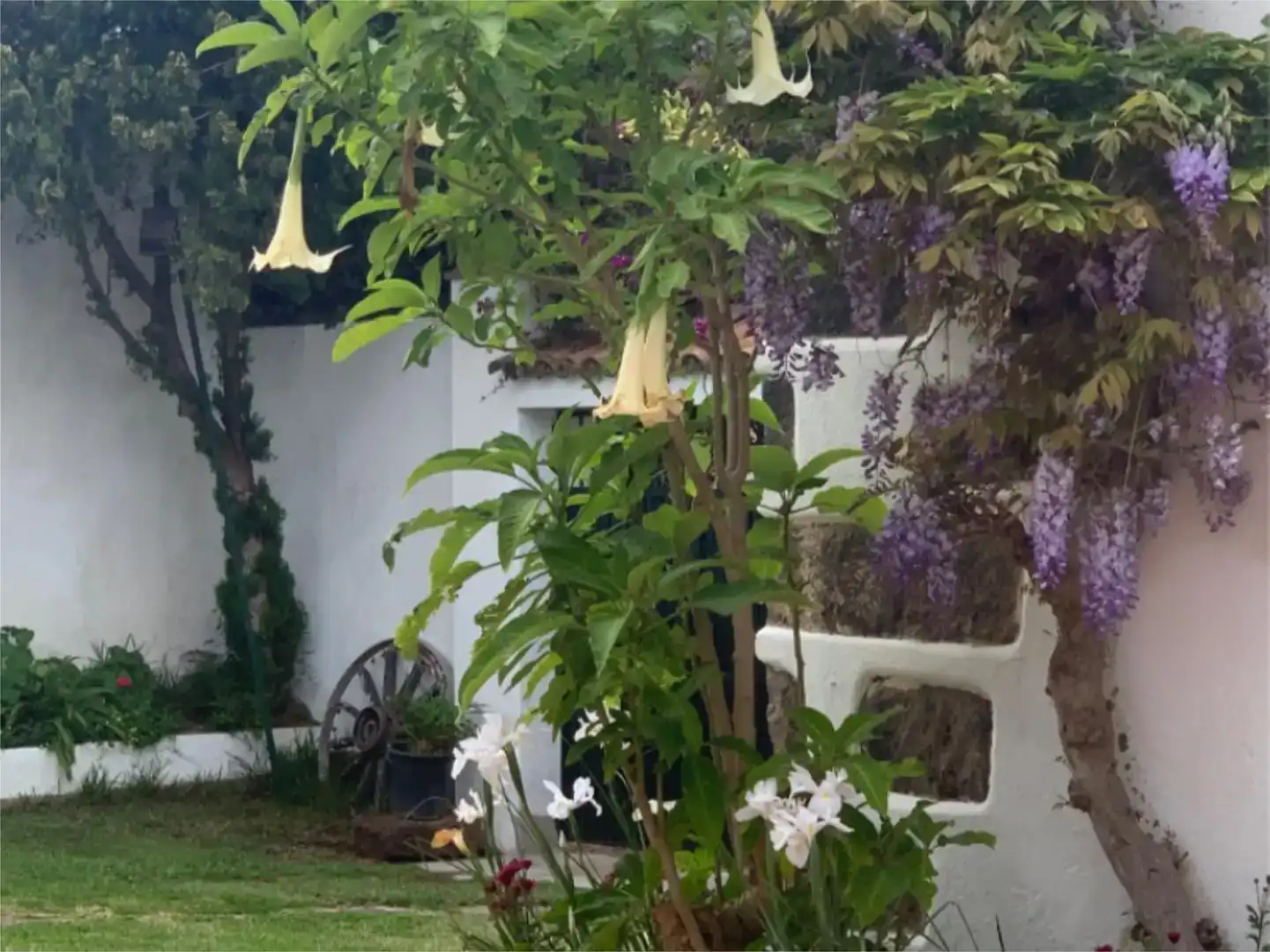 Garden of Houses for sale in Tacoronte - Los Naranjeros