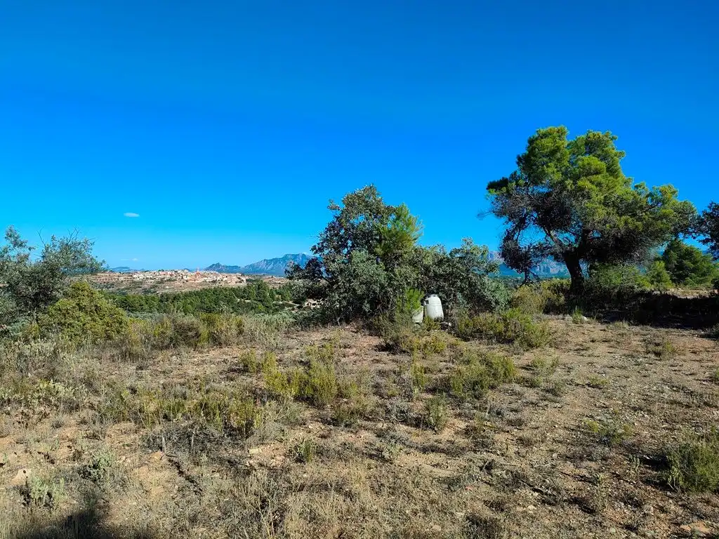 Country homes for sale in Cretas