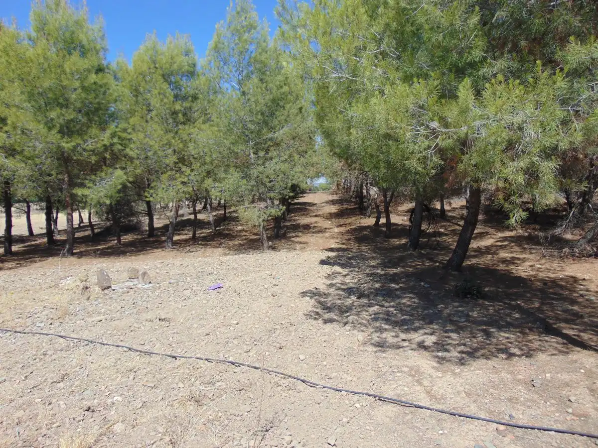 Chalet en venta en Santa Cruz de Mudela, imagen 16