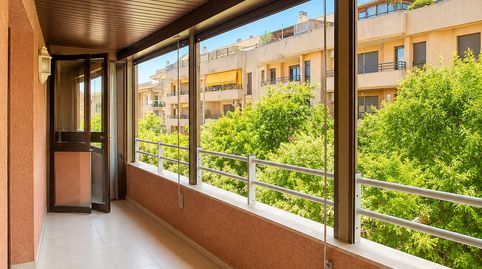 Foto 4 de Piso en venta en Carrer de Miquel Capllonch, Cas Capiscol, Palma de Mallorca