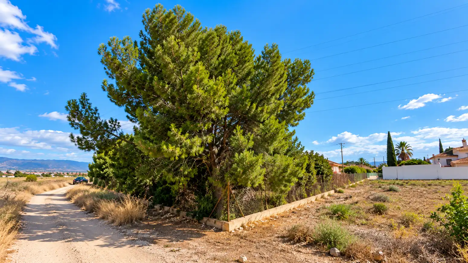 Residential land for sale in El Palmar - DS CARRIL CARRILES 0, imagen 10