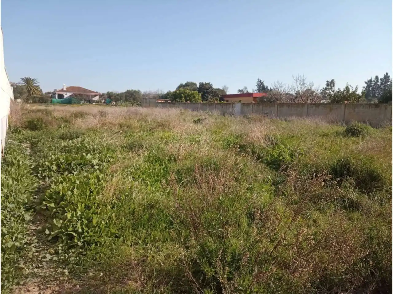Residential land for sale in La Jara, imagen 2
