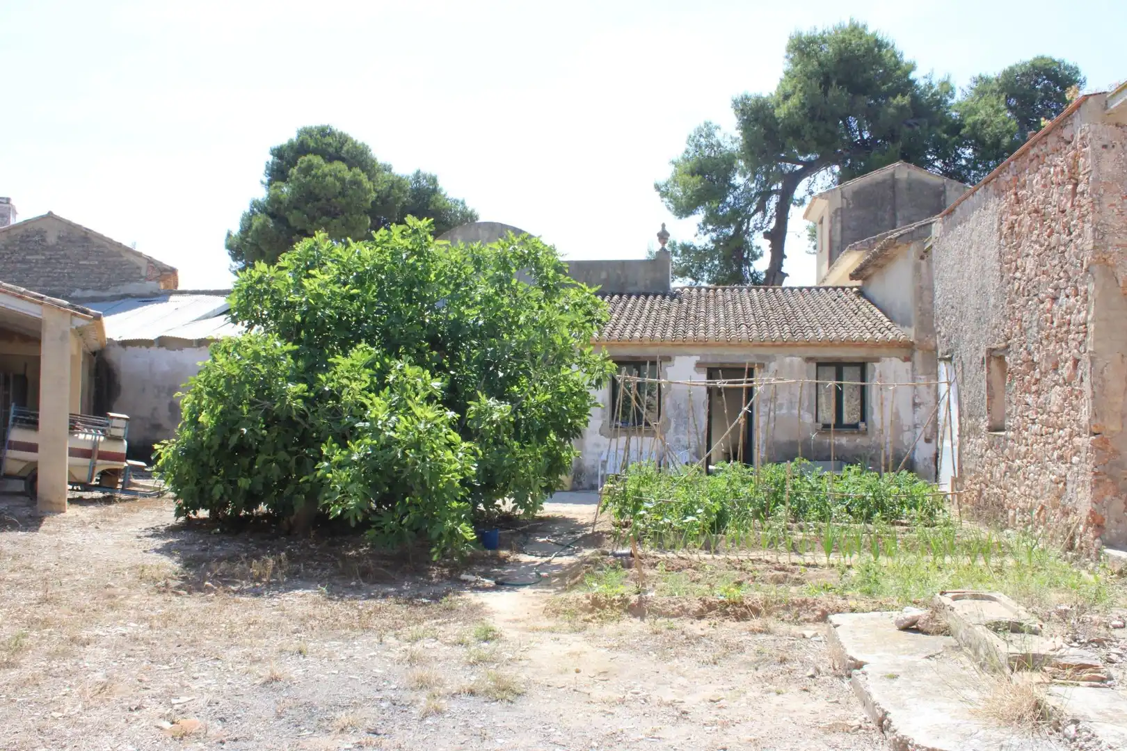 Finca rústica en venta en Oliva