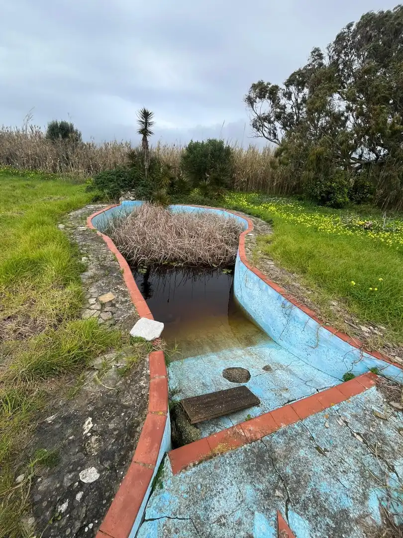 Piscina de Finca rústica en venta en Tarifa con Jardín privado y Piscina