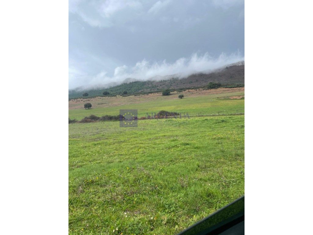 House or chalet for sale in Plasencia