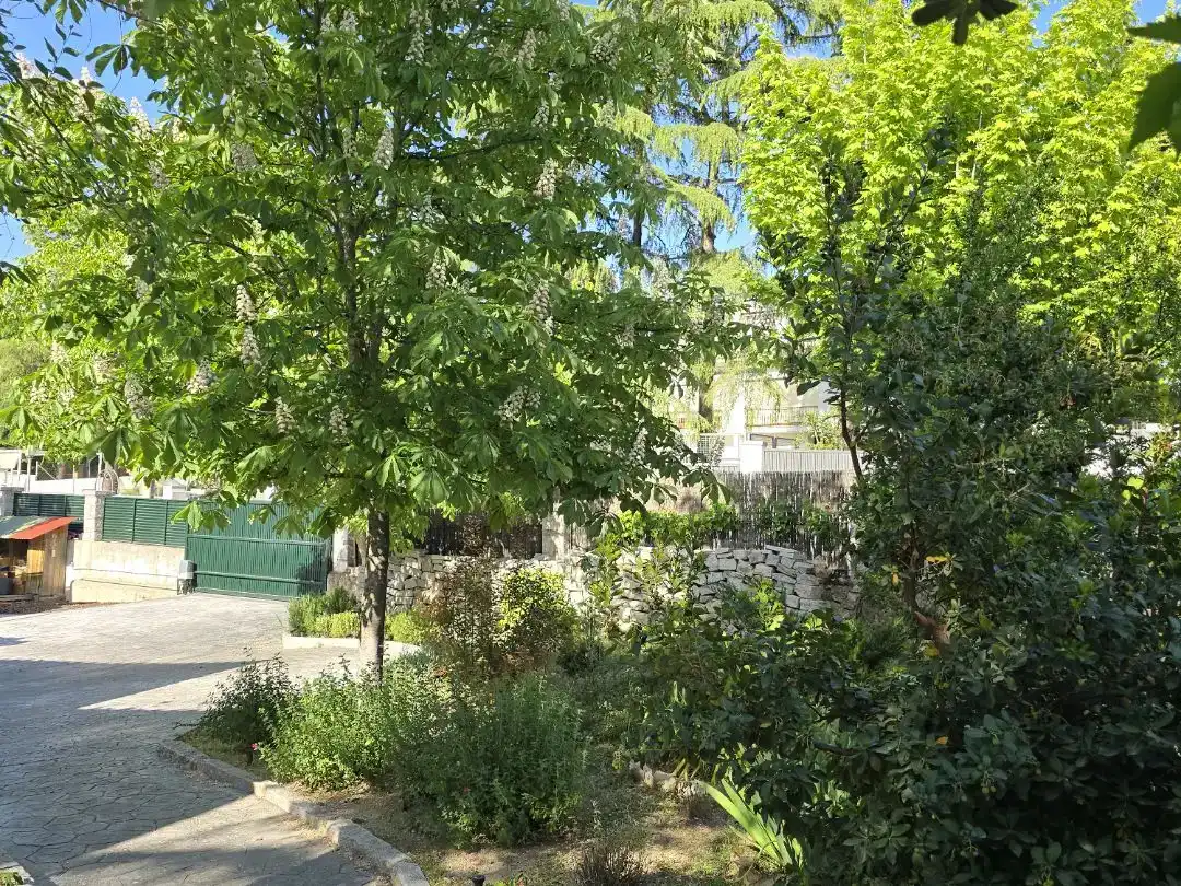 Jardín de Casa o chalet en venta en Colmenar Viejo con Piscina y Balcón