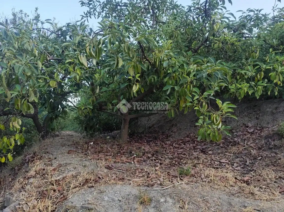 Terreno rustico in vendita a Los Guájares, imagen 2