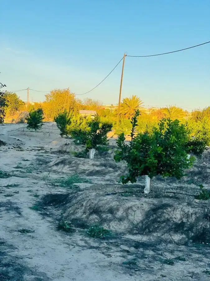 Terreny residencial en venda a El Llano, imagen 20
