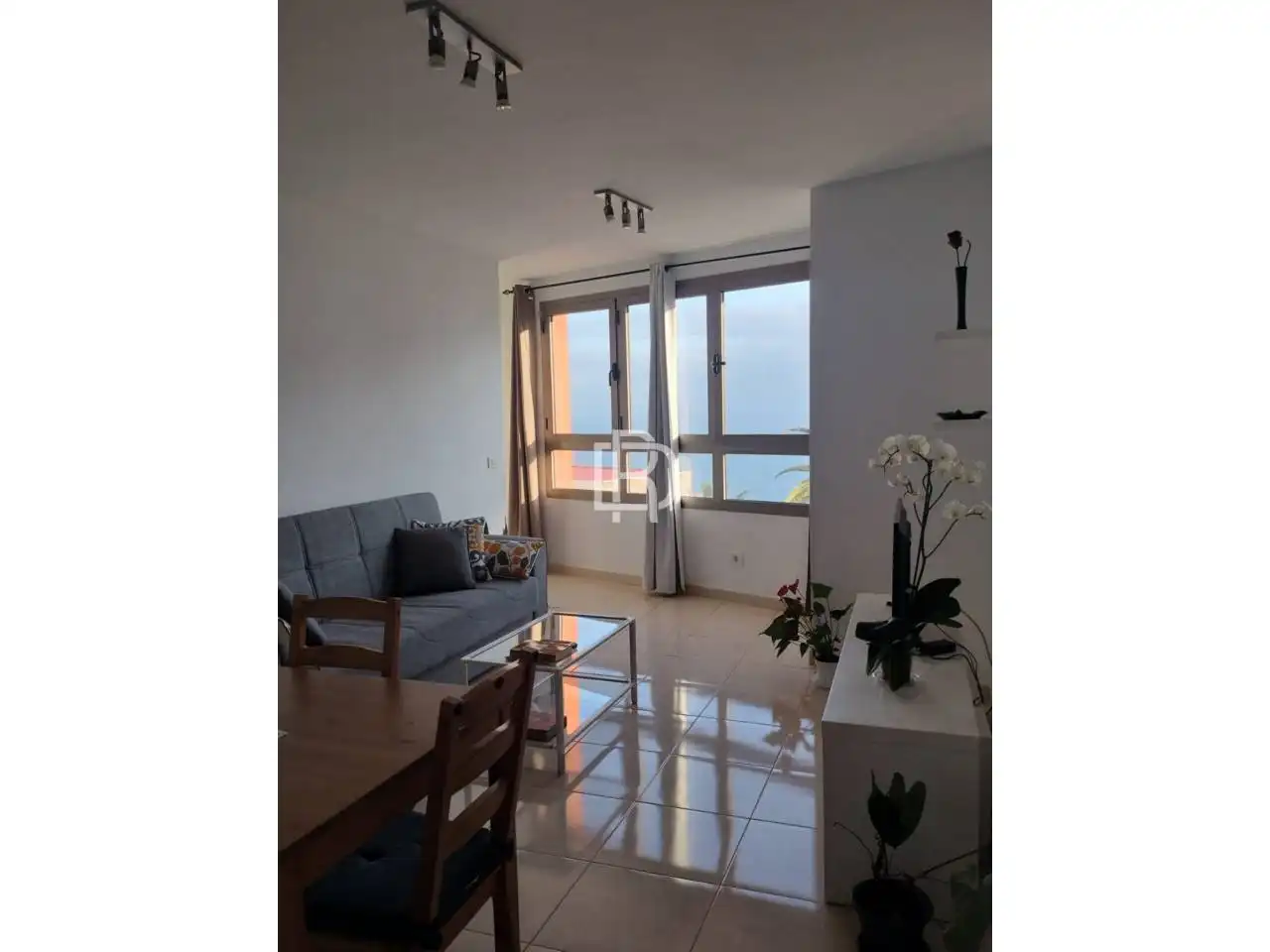 Living room of Flat for rent in Icod de los Vinos  with Furnished