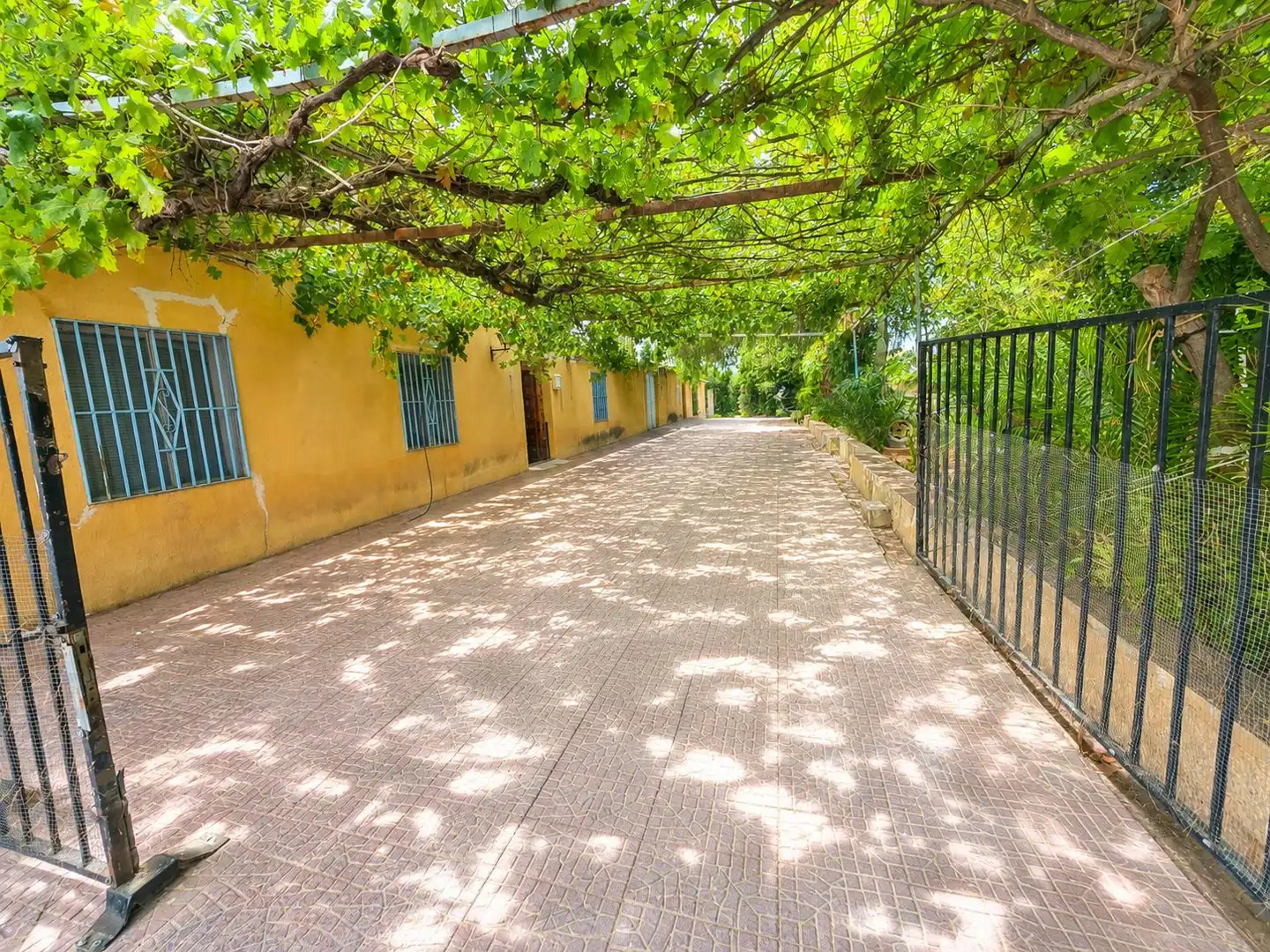 Exterior view of Country homes for sale in Cehegín  with Terrace and Swimming Pool