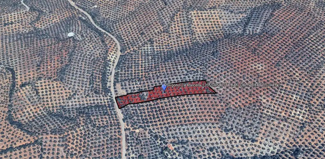 Land for sale in Montizón