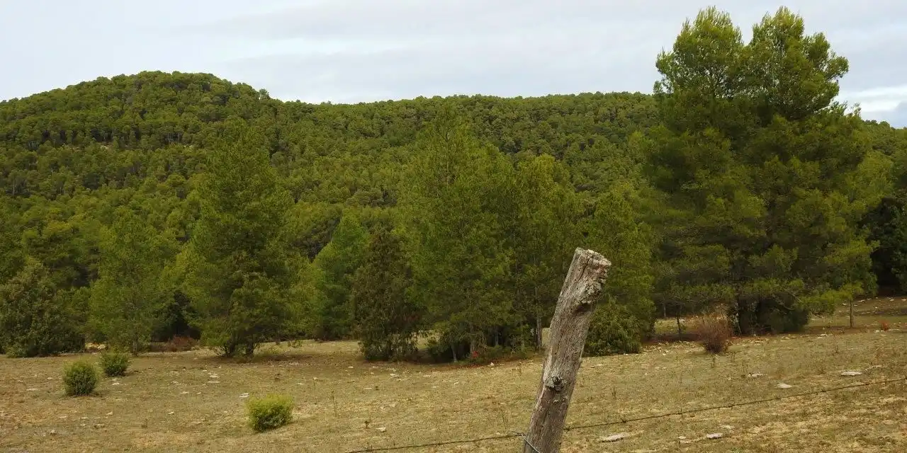 Finca rústica en venda en Villar de Olalla