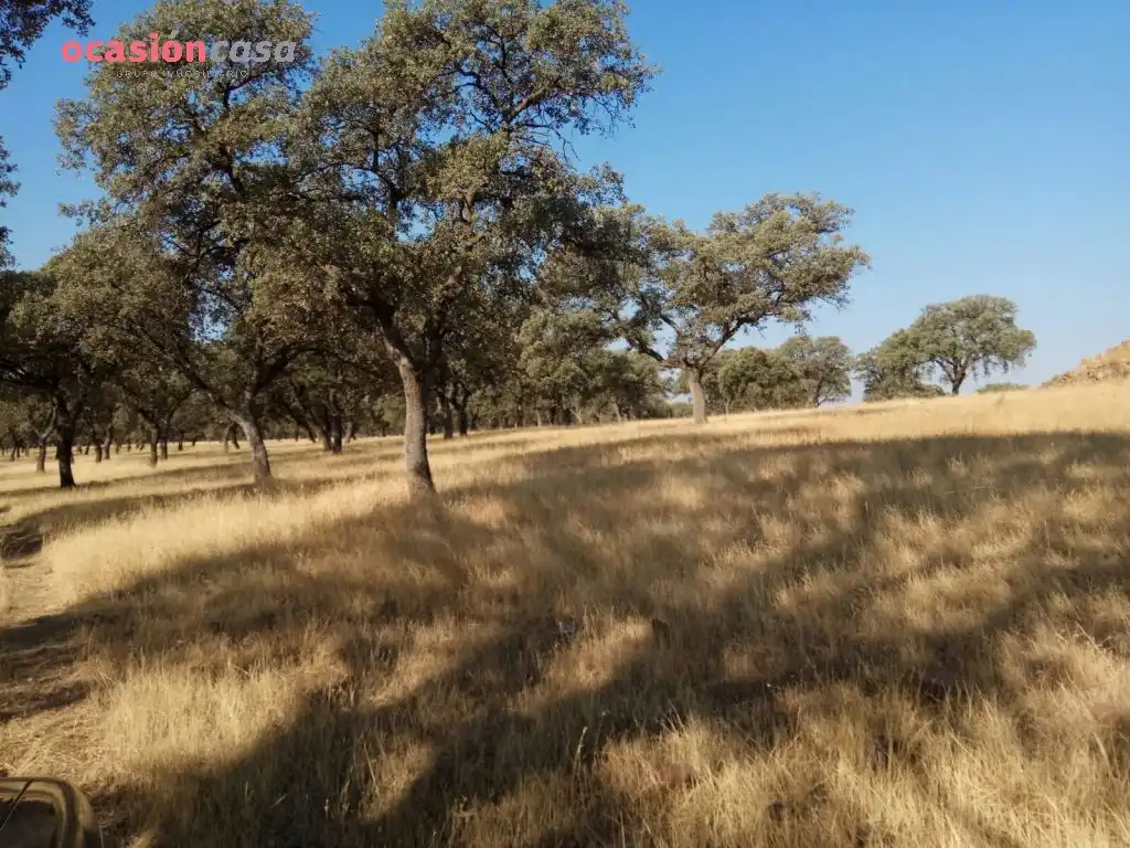 Country homes for sale in Torrecampo