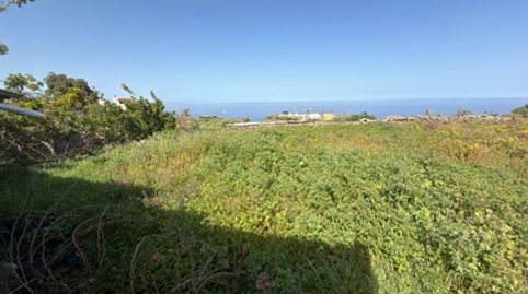 Foto 5 de Residencial en venta en Buen Paso - La Mancha, Icod de los Vinos